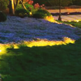 蘇州校園景觀設(shè)計(jì)?的具體方法